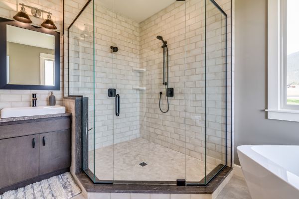 Bathroom Modification in Wesley Chapel