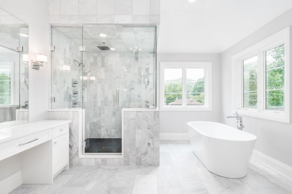 Luxury Bathroom Renovation in Wesley Chapel