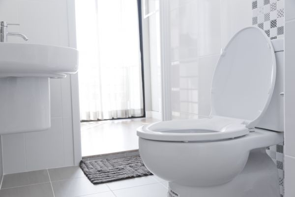 Cost of Toilet Relocation in Wesley Chapel