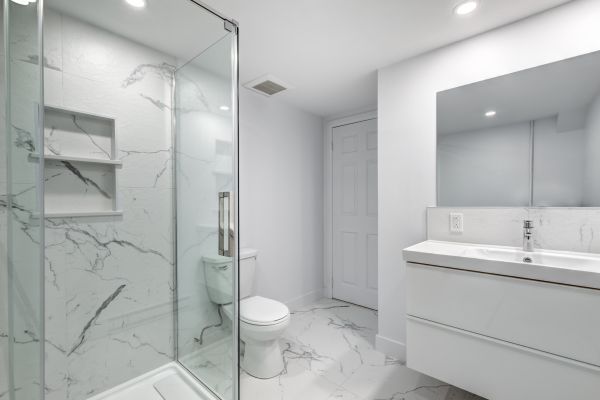 Basement Bathroom Construction in Wesley Chapel