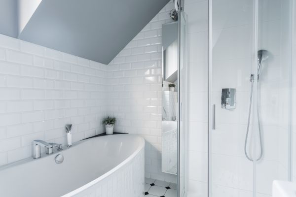 Basement Restroom Installation in Wesley Chapel