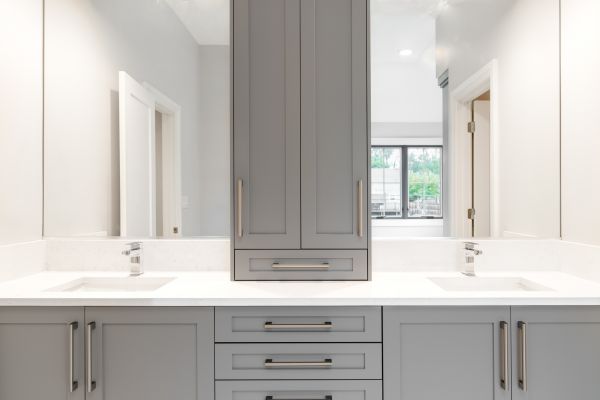 Bathroom Cabinets Remodeling in Wesley Chapel