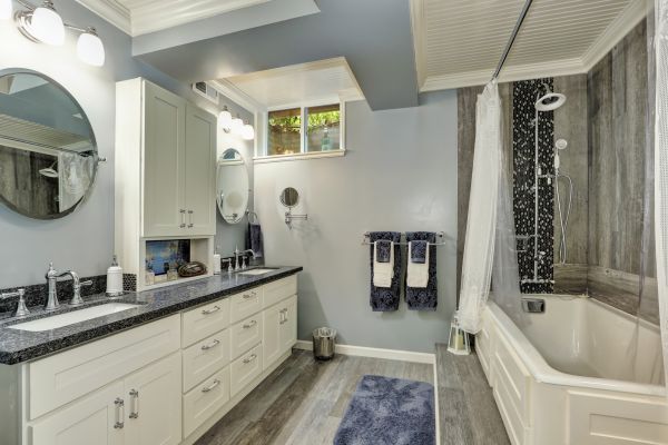 Basement Bathroom Remodeling in Wesley Chapel