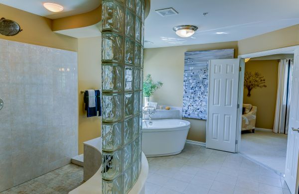 Basement Bathroom Renovation in Wesley Chapel
