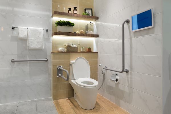 Elderly Bathroom Remodeling in Wesley Chapel