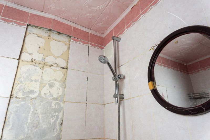 Top Shower Remodeling Companies in Spring Hill, FL